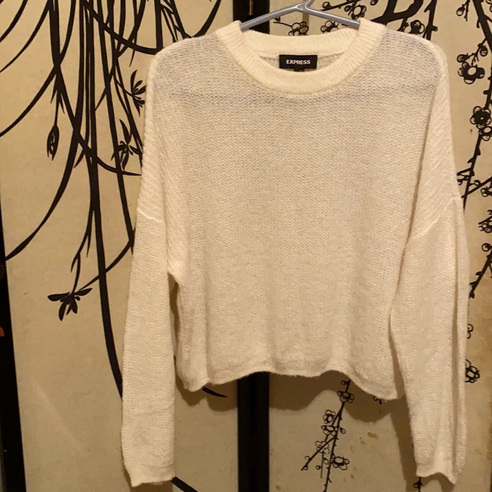 Express Women’s Swan 121 Alpaca Wool Blended Slouchy Sweater Pullover